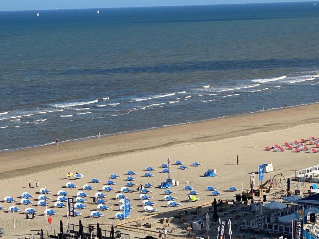 Appartement Delibas Zandvoort Zewnętrze zdjęcie